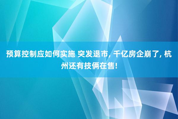 预算控制应如何实施 突发退市, 千亿房企崩了, 杭州还有技俩在售!