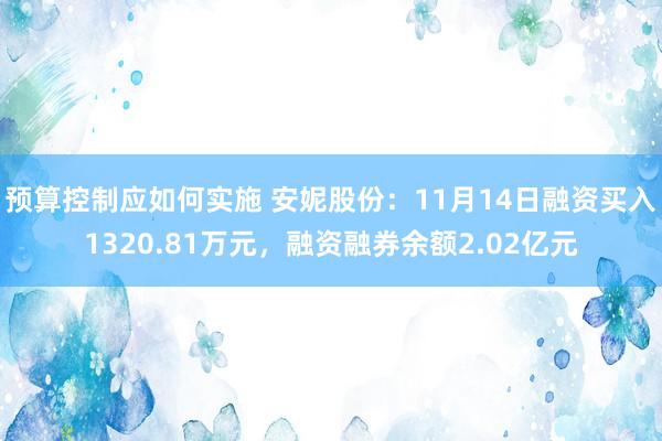 预算控制应如何实施 安妮股份：11月14日融资买入1320.81万元，融资融券余额2.02亿元