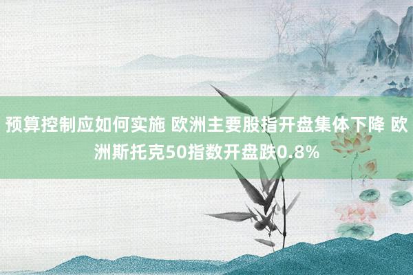 预算控制应如何实施 欧洲主要股指开盘集体下降 欧洲斯托克50指数开盘跌0.8%