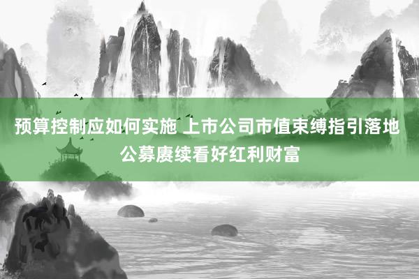 预算控制应如何实施 上市公司市值束缚指引落地 公募赓续看好红利财富