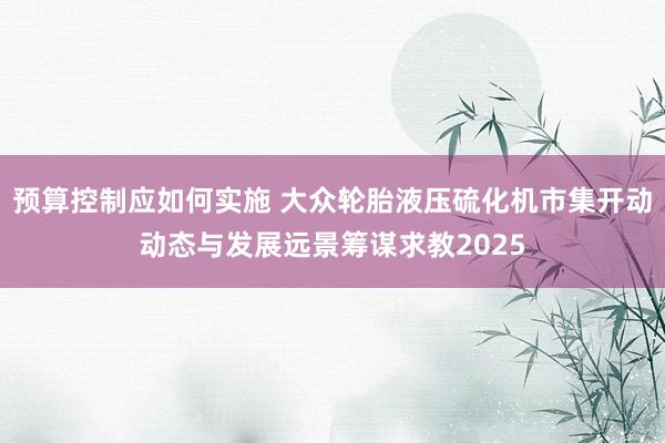 预算控制应如何实施 大众轮胎液压硫化机市集开动动态与发展远景筹谋求教2025