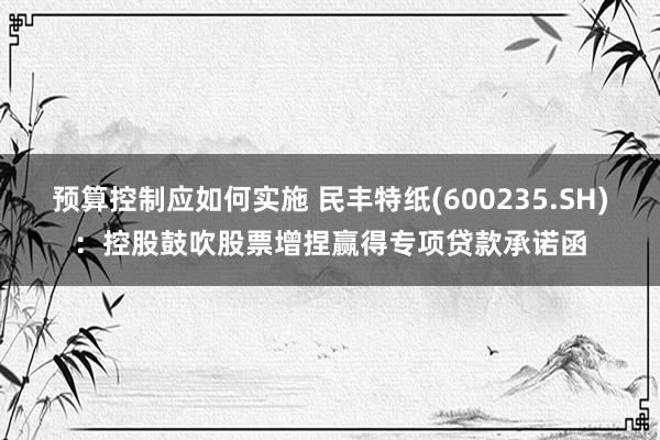 预算控制应如何实施 民丰特纸(600235.SH)：控股鼓吹股票增捏赢得专项贷款承诺函