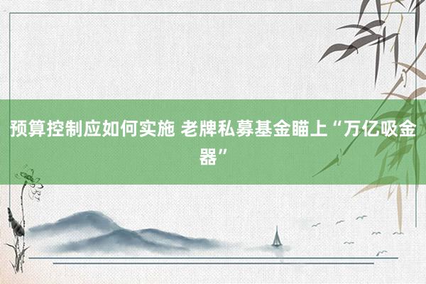 预算控制应如何实施 老牌私募基金瞄上“万亿吸金器”