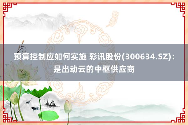 预算控制应如何实施 彩讯股份(300634.SZ)：是出动云的中枢供应商