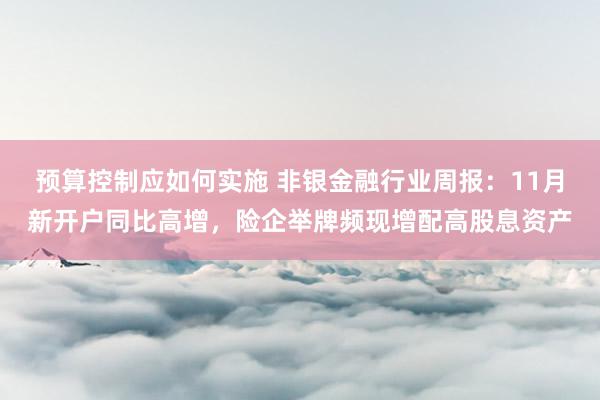 预算控制应如何实施 非银金融行业周报：11月新开户同比高增，险企举牌频现增配高股息资产