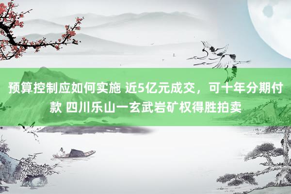 预算控制应如何实施 近5亿元成交，可十年分期付款 四川乐山一玄武岩矿权得胜拍卖