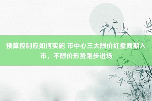 预算控制应如何实施 市中心三大限价红盘同期入市，不限价形势跑步进场