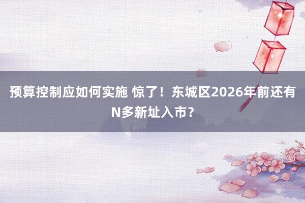 预算控制应如何实施 惊了！东城区2026年前还有N多新址入市？