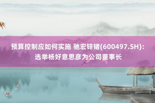 预算控制应如何实施 驰宏锌锗(600497.SH): 选举杨好意思彦为公司董事长