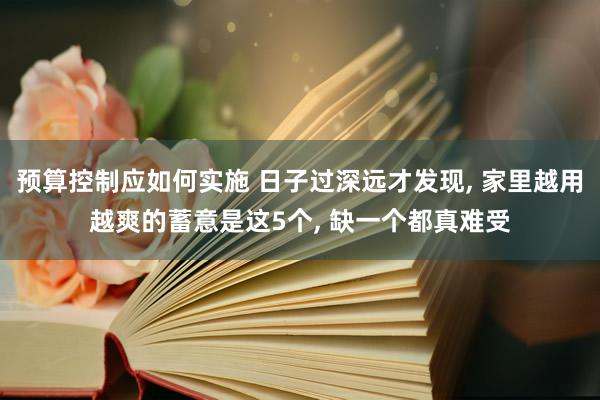 预算控制应如何实施 日子过深远才发现, 家里越用越爽的蓄意是这5个, 缺一个都真难受