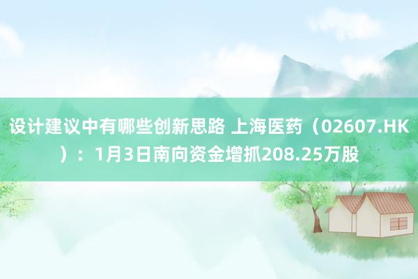 设计建议中有哪些创新思路 上海医药（02607.HK）：1月3日南向资金增抓208.25万股