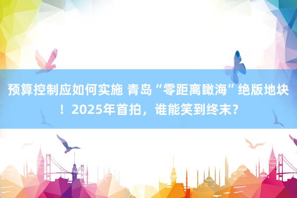 预算控制应如何实施 青岛“零距离瞰海”绝版地块！2025年首拍，谁能笑到终末？