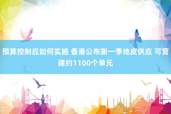 预算控制应如何实施 香港公布新一季地皮供应 可营建约1100个单元