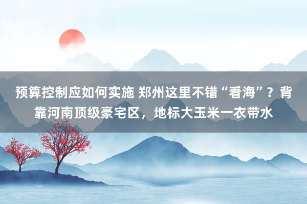 预算控制应如何实施 郑州这里不错“看海”？背靠河南顶级豪宅区，地标大玉米一衣带水