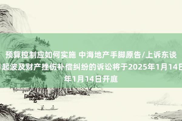 预算控制应如何实施 中海地产手脚原告/上诉东谈主的1起波及财产挫伤补偿纠纷的诉讼将于2025年1月14日开庭