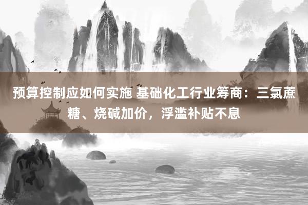 预算控制应如何实施 基础化工行业筹商：三氯蔗糖、烧碱加价，浮滥补贴不息