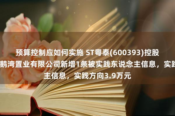 预算控制应如何实施 ST粤泰(600393)控股的淮南粤泰天鹅湾置业有限公司新增1条被实践东说念主信息，实践方向3.9万元