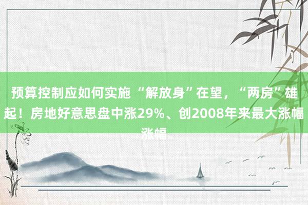 预算控制应如何实施 “解放身”在望，“两房”雄起！房地好意思盘中涨29%、创2008年来最大涨幅