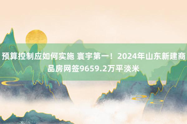 预算控制应如何实施 寰宇第一！2024年山东新建商品房网签9659.2万平淡米