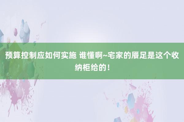 预算控制应如何实施 谁懂啊~宅家的餍足是这个收纳柜给的！