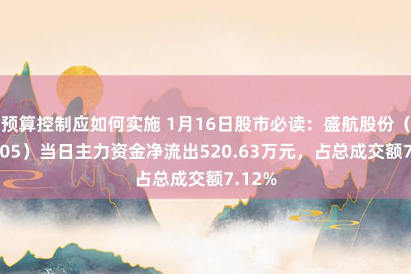 预算控制应如何实施 1月16日股市必读：盛航股份（001205）当日主力资金净流出520.63万元，占总成交额7.12%