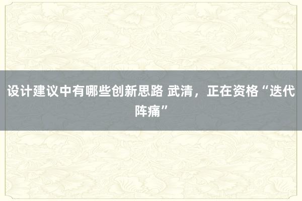 设计建议中有哪些创新思路 武清，正在资格“迭代阵痛”