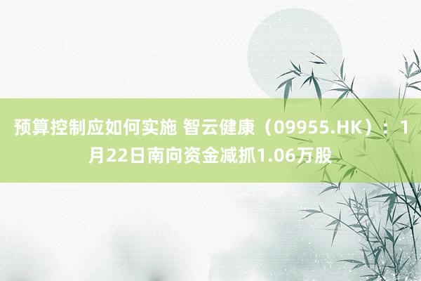 预算控制应如何实施 智云健康（09955.HK）：1月22日南向资金减抓1.06万股