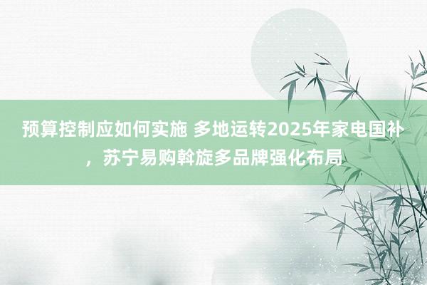 预算控制应如何实施 多地运转2025年家电国补，苏宁易购斡旋多品牌强化布局