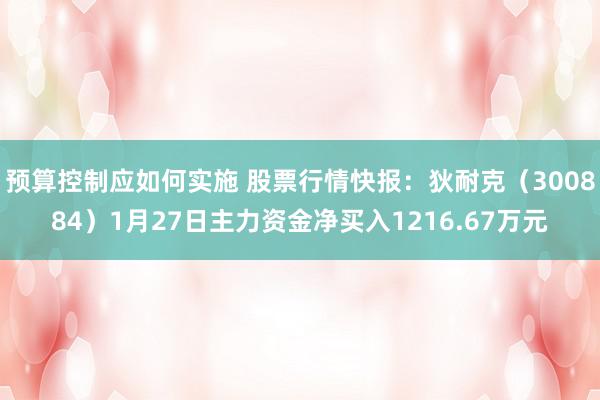 预算控制应如何实施 股票行情快报：狄耐克（300884）1月27日主力资金净买入1216.67万元