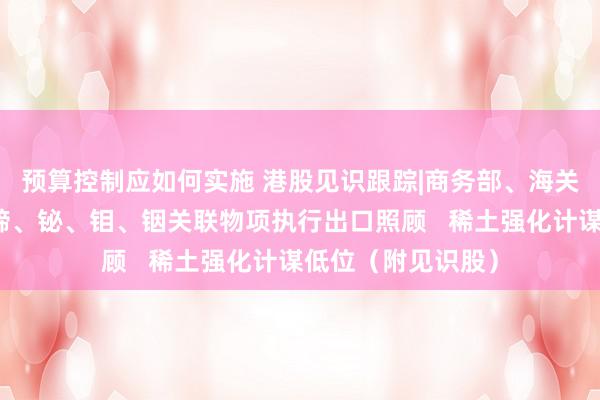 预算控制应如何实施 港股见识跟踪|商务部、海关总署公布对钨、碲、铋、钼、铟关联物项执行出口照顾   稀土强化计谋低位（附见识股）