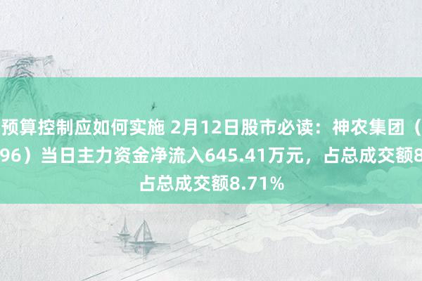 预算控制应如何实施 2月12日股市必读：神农集团（605296）当日主力资金净流入645.41万元，占总成交额8.71%