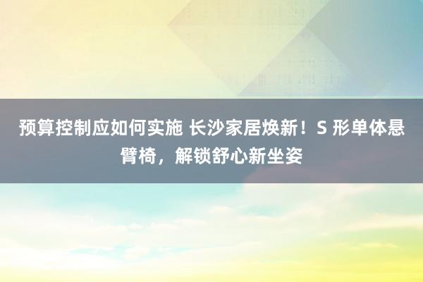 预算控制应如何实施 长沙家居焕新！S 形单体悬臂椅，解锁舒心新坐姿