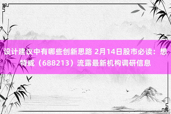 设计建议中有哪些创新思路 2月14日股市必读：想特威（688213）流露最新机构调研信息