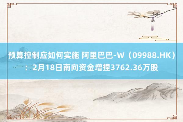 预算控制应如何实施 阿里巴巴-W（09988.HK）：2月18日南向资金增捏3762.36万股