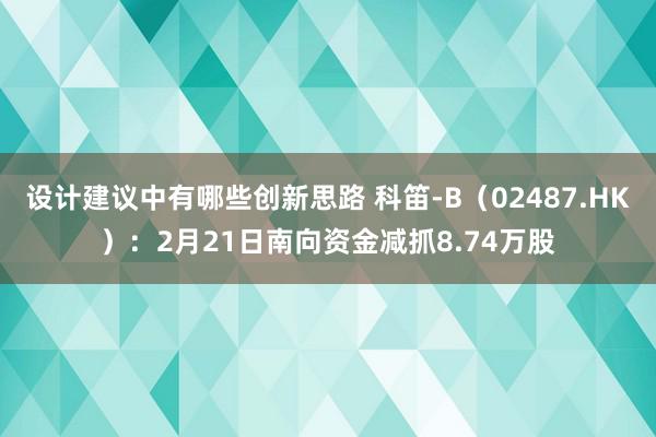 设计建议中有哪些创新思路 科笛-B（02487.HK）：2月21日南向资金减抓8.74万股