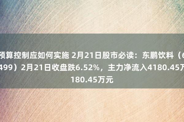 预算控制应如何实施 2月21日股市必读：东鹏饮料（605499）2月21日收盘跌6.52%，主力净流入4180.45万元