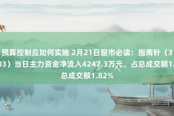 预算控制应如何实施 2月21日股市必读：指南针（300803）当日主力资金净流入4247.3万元，占总成交额1.82%