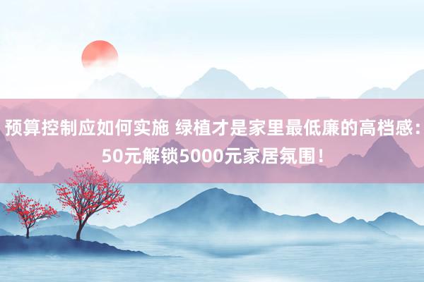 预算控制应如何实施 绿植才是家里最低廉的高档感：50元解锁5000元家居氛围！