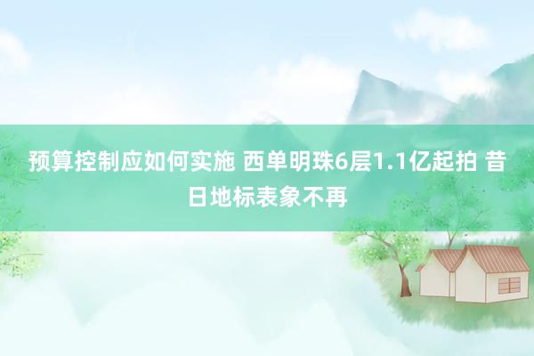 预算控制应如何实施 西单明珠6层1.1亿起拍 昔日地标表象不再