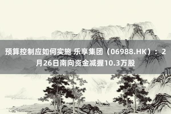 预算控制应如何实施 乐享集团（06988.HK）：2月26日南向资金减握10.3万股