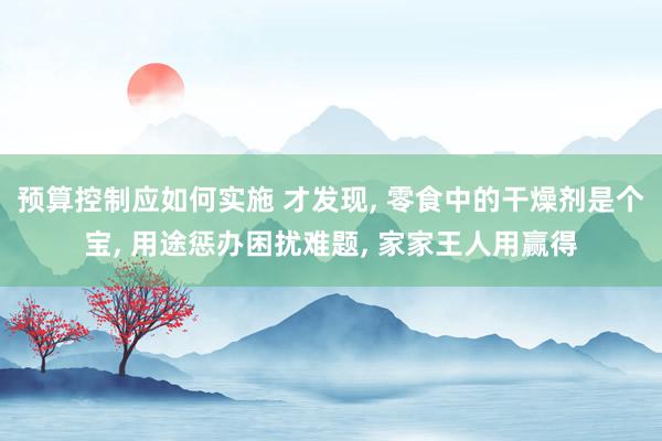 预算控制应如何实施 才发现, 零食中的干燥剂是个宝, 用途惩办困扰难题, 家家王人用赢得