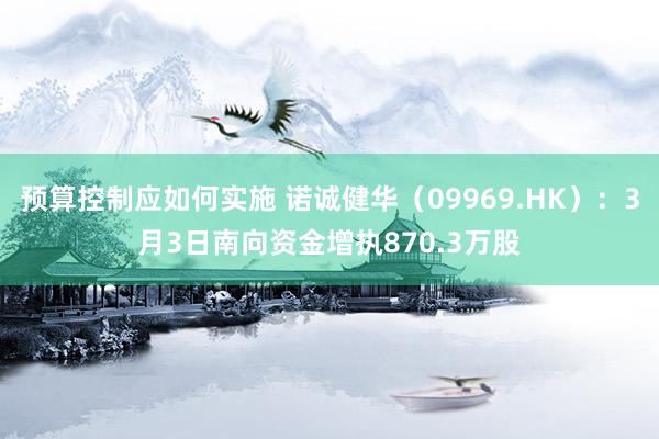 预算控制应如何实施 诺诚健华（09969.HK）：3月3日南向资金增执870.3万股