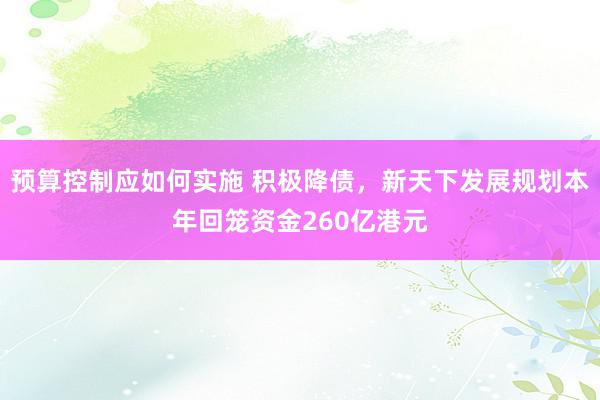 预算控制应如何实施 积极降债，新天下发展规划本年回笼资金260亿港元