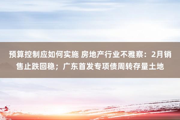 预算控制应如何实施 房地产行业不雅察：2月销售止跌回稳；广东首发专项债周转存量土地