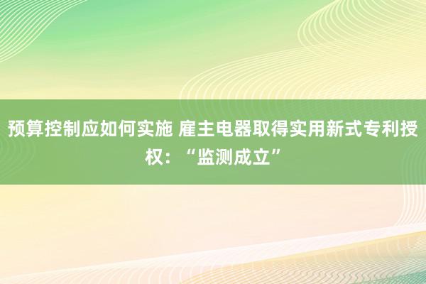 预算控制应如何实施 雇主电器取得实用新式专利授权：“监测成立”