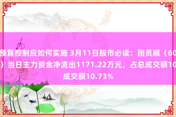 预算控制应如何实施 3月11日股市必读：团员顺（605166）当日主力资金净流出1171.22万元，占总成交额10.73%