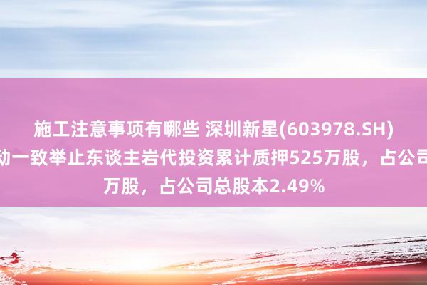 施工注意事项有哪些 深圳新星(603978.SH)：公司控股激动一致举止东谈主岩代投资累计质押525万股，占公司总股本2.49%