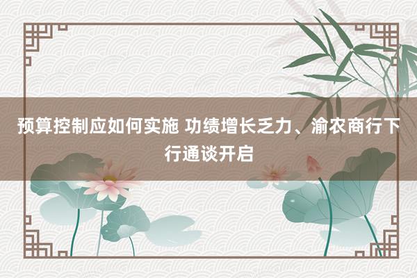 预算控制应如何实施 功绩增长乏力、渝农商行下行通谈开启