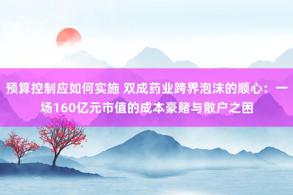 预算控制应如何实施 双成药业跨界泡沫的顺心：一场160亿元市值的成本豪赌与散户之困