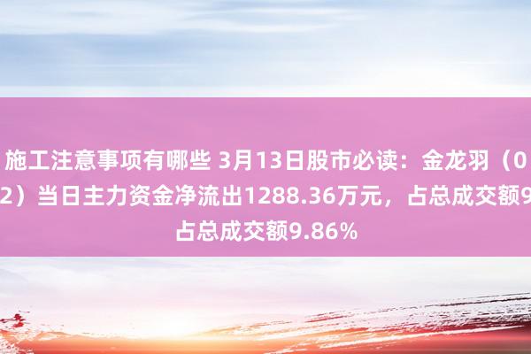 施工注意事项有哪些 3月13日股市必读：金龙羽（002882）当日主力资金净流出1288.36万元，占总成交额9.86%